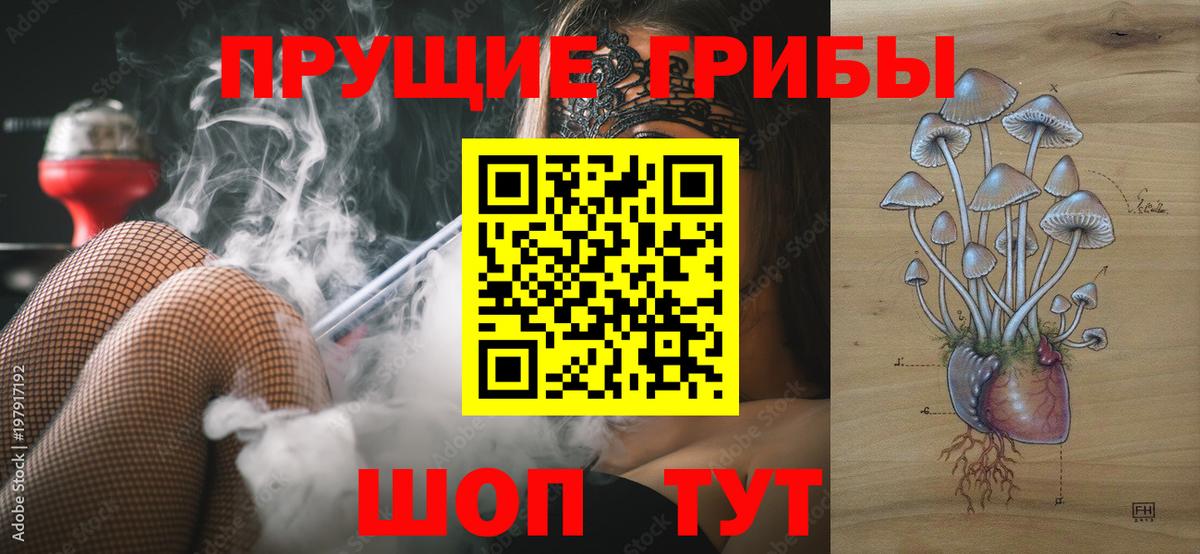 что такое наркотик  Вход с VPN  Новокубанск  Галлюциногенные грибы Psilocybine cubensis 